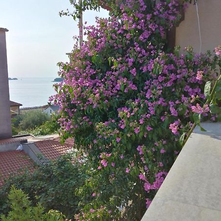Luna Tsuki Seven Aparthotel Rovinj Exterior photo